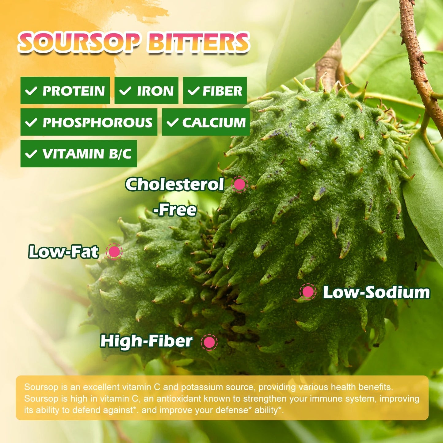 Soursop Graviola Extract Drops – Immunity & Detox Support (60ml)